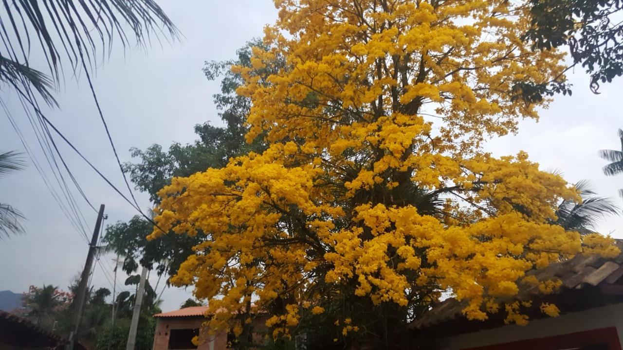 Suites Beija-Flor باراتي المظهر الخارجي الصورة