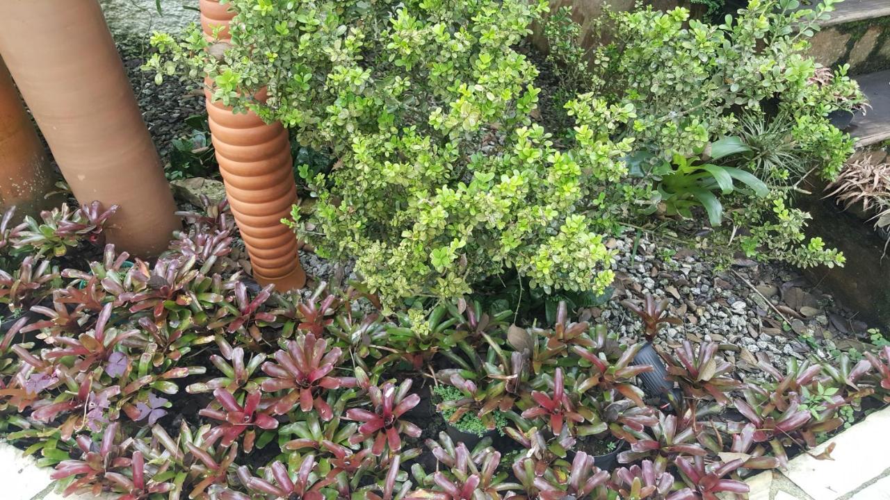 Suites Beija-Flor باراتي المظهر الخارجي الصورة