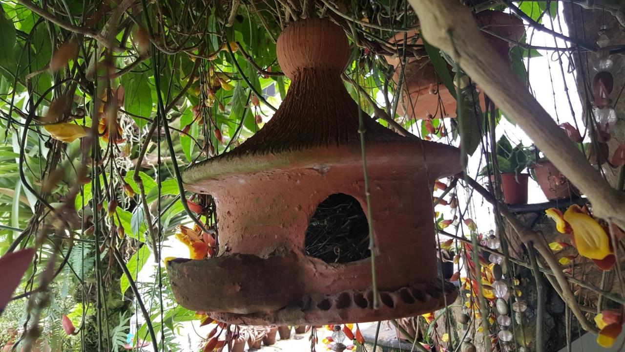 Suites Beija-Flor باراتي المظهر الخارجي الصورة