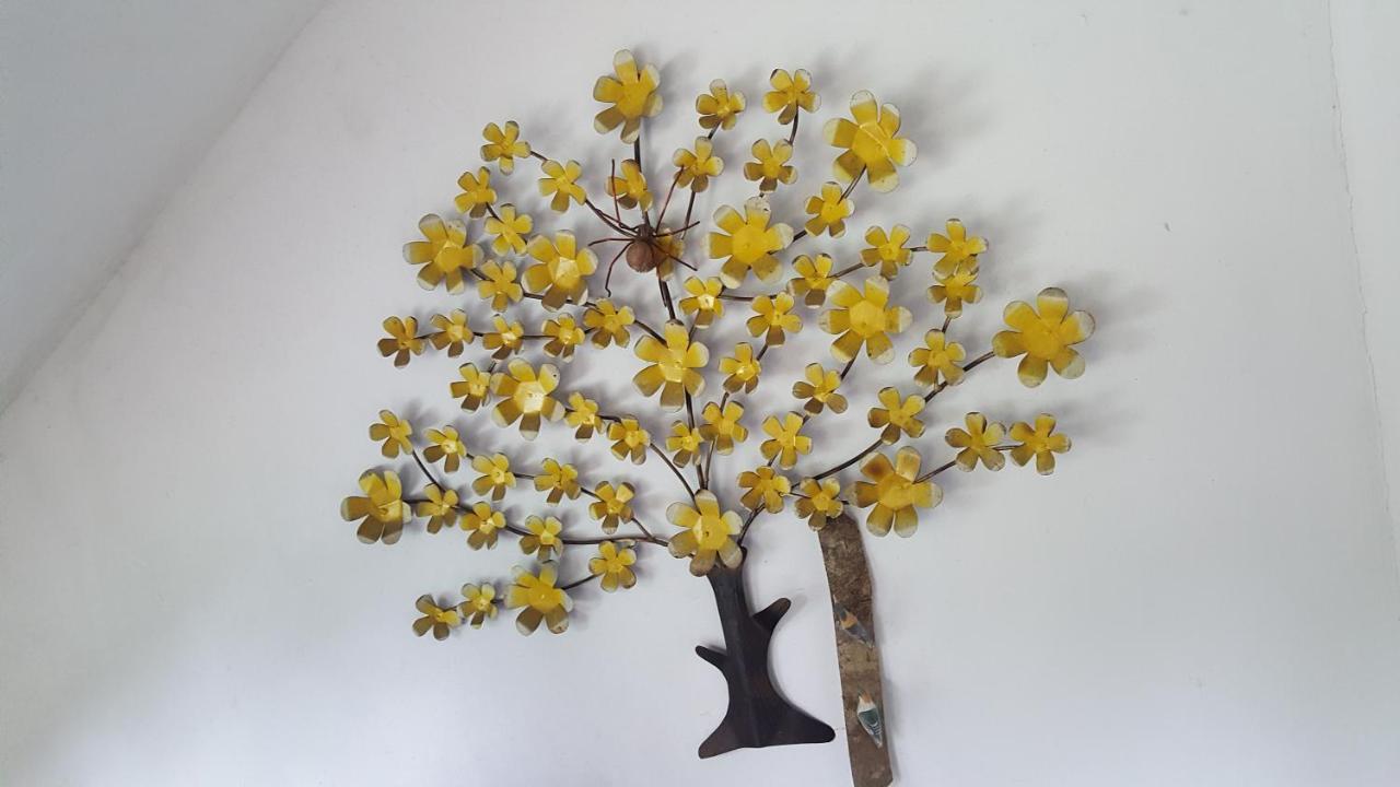 Suites Beija-Flor باراتي المظهر الخارجي الصورة